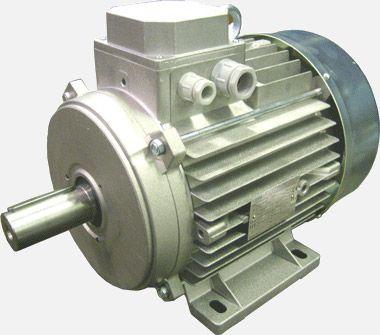 Motor